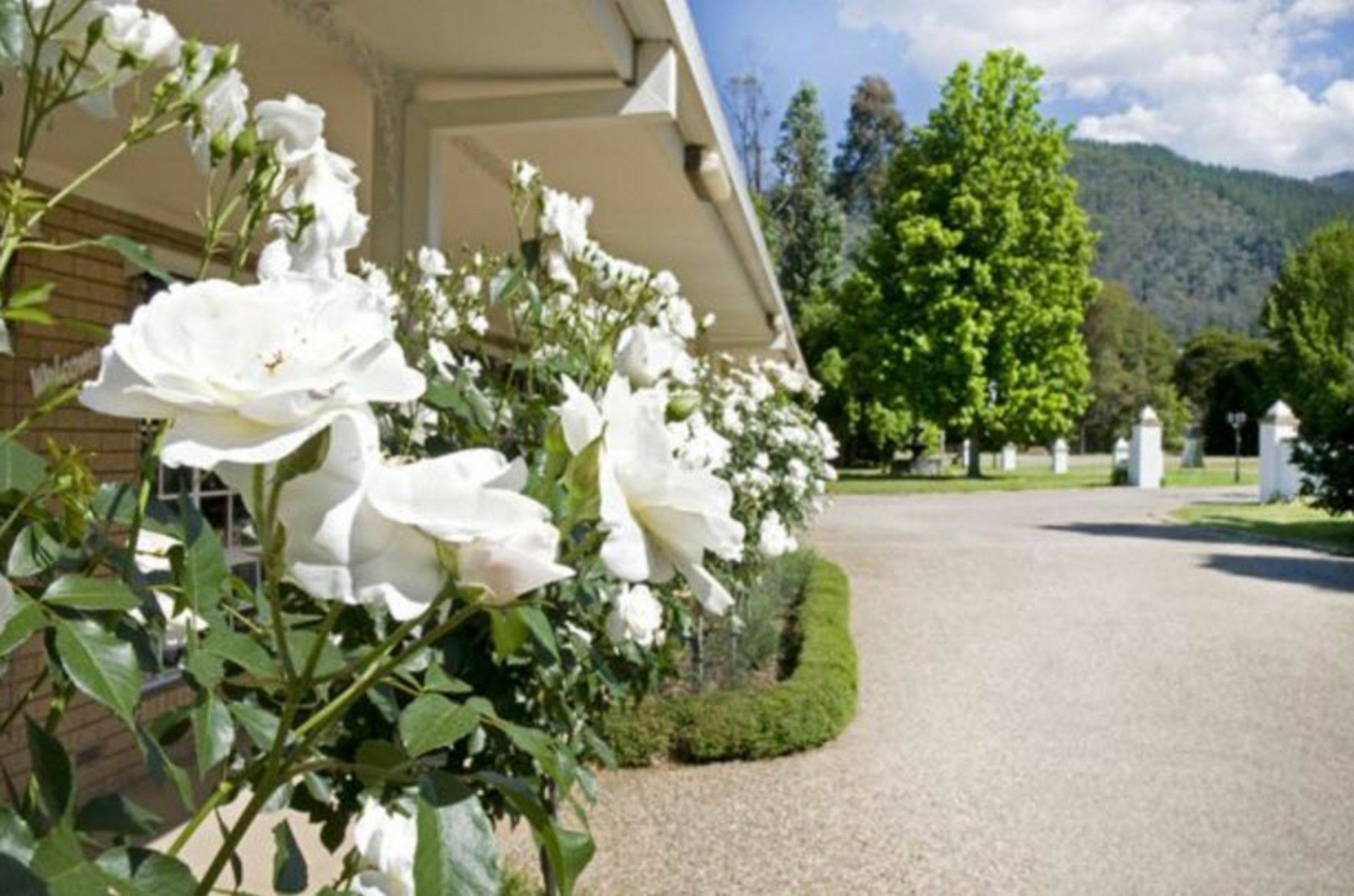 Hotel Ovens Valley Motor